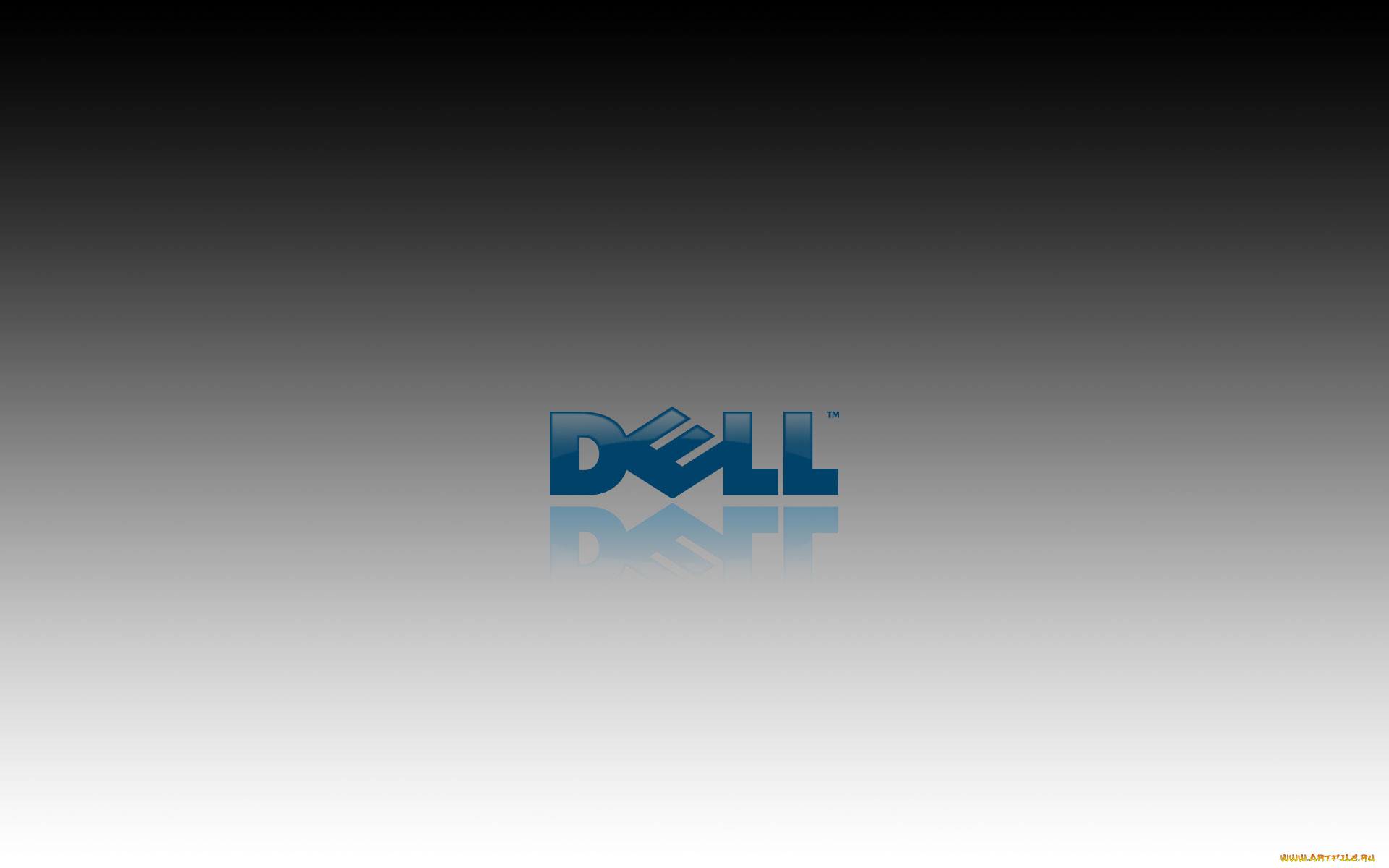 , dell, , 
